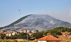 Seferihisar'ın Orhanlar Köyü'nde çıkan orman yangının yaraları 30 yılda sarılacak