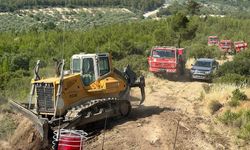 Bergama'daki orman yangını kontrol altına alındı