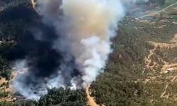 Ödemiş'teki yangın 24 saatlik müdahalenin ardından kontrol altına alındı