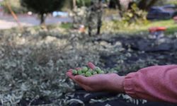 Turgutlu Belediyesi örnek uygulamasına devam ediyor