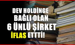 Dev Holding iflasın eşiğine geldi! 6 ünlü şirket tarih oldu