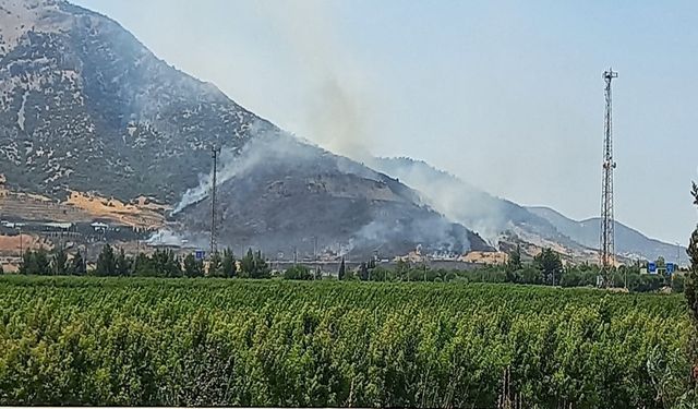 Selçuk'taki Orman Yangını: Kontrol Altına Alındı