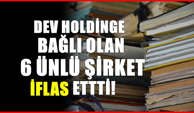 Dev Holding iflasın eşiğine geldi! 6 ünlü şirket tarih oldu