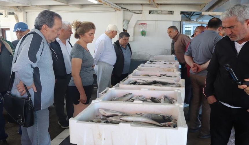 Karşıyaka'daki balık mezatında fiyatlar piyasaya göre daha uygun: Mezatçılar talepten memnun